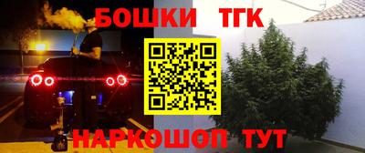 сатива Кунгур