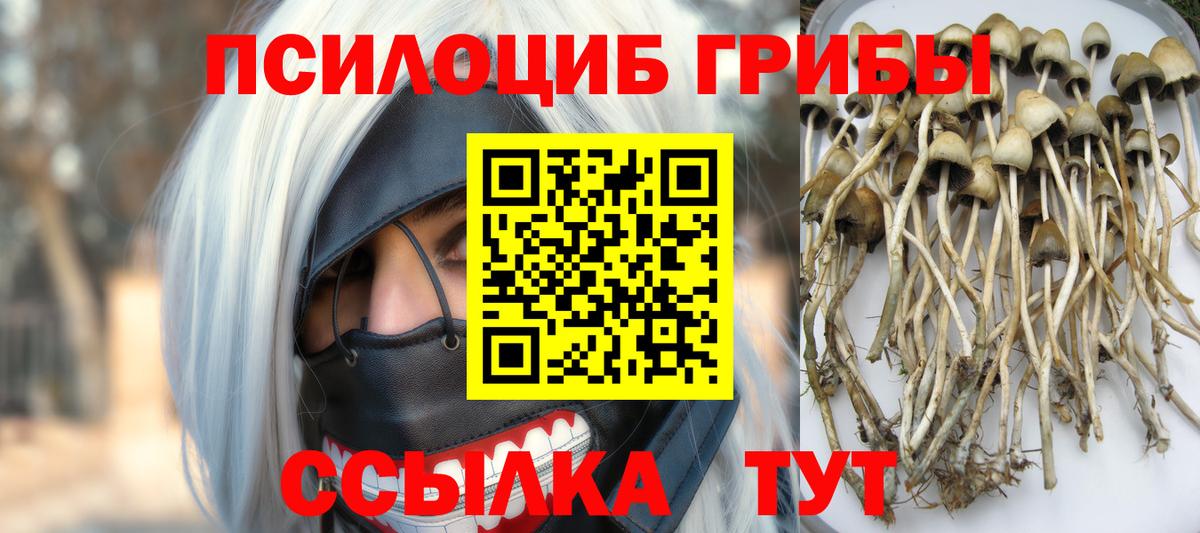 Псилоцибиновые грибы GOLDEN TEACHER  Вход с VPN  Гусь-Хрустальный 